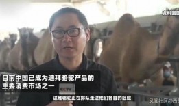 火哥爆料萨叔视频,萨叔视频背后的惊人真相