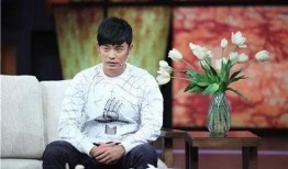 班长爆料陈赫视频,揭秘明星私生活背后的真相