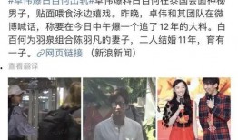 卓伟5月17日爆料视频,揭秘娱乐圈惊人内幕