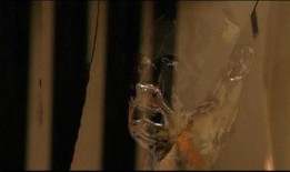 透明人2 在线观看,揭秘人体奥秘，探索生命极限