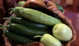 网红导管吃瓜,揭秘网络红人的幕后生活