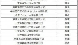 最新爆料工厂名单图片,揭秘产业布局与产业链条