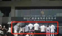 最新爆料明星翻车事件视频,最新爆料视频揭露惊人真相