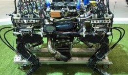 最新爆料国产机器人,揭秘最新爆料背后的科技力量