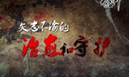 芙蓉锦在线观看