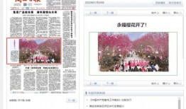 永福县新闻爆料网址,最新动态一网打尽