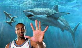 洛杉矶鲨鱼爆料视频,揭秘海洋深处的神秘世界