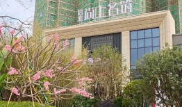 青岛隔离最新爆料电话,揭秘隔离政策调整与居民心声