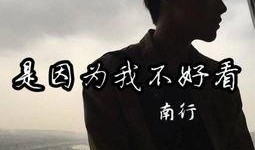南行完整在线观看,穿越时光的旅程，在线重温经典