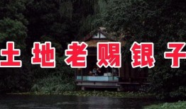 民间土地爆料视频,真实事件背后的土地争议与维权之路