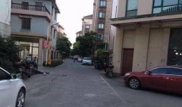 九龙小区爆料视频最新版,惊人真相曝光！