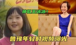 网友爆料王冰冰视频在线,网友爆料背后的真相揭秘