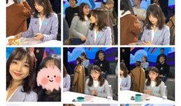 网友爆料王冰冰视频在线,网友爆料背后的真相揭秘