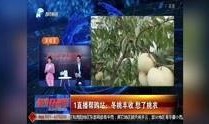 河南都市直播在线观看,实时畅享家乡风情，云端相聚共享精彩