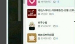 胡欣怡最新爆料,揭秘娱乐圈惊人内幕！