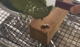 爆料臭豆腐的做法视频,传统臭豆腐秘制工艺，在家轻松制作美味佳肴