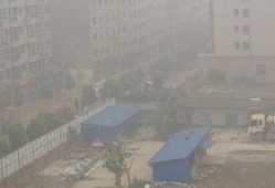 绵阳最新凯厦砍树爆料新闻,真相与争议交织的环保风波