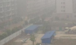 绵阳最新凯厦砍树爆料新闻,真相与争议交织的环保风波