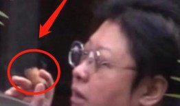 韩红抽雪茄爆料视频大全,揭秘明星私生活瞬间