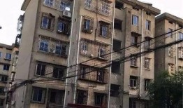 九龙小区爆料视频最新版,惊人真相曝光！