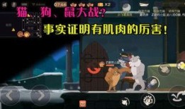 小飞哥被爆料视频大全,揭秘网络红人背后的故事