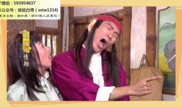 戏说台湾电视剧全集在线观看,穿越时空的传奇故事全集在线观看