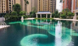 青岛隔离最新爆料电话,揭秘隔离政策调整与居民心声