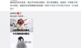 冷静吃瓜录音在线听免费,免费在线聆听的幕后故事