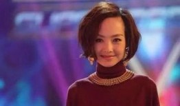 鲁豫爆料爱情视频大全下载,明星情感故事大盘点