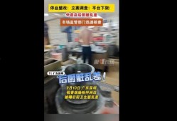 卖餐饮爆料视频,餐饮爆料视频背后的真相与反思