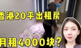 惩治无良房东爆料视频,视频爆料引发社会关注