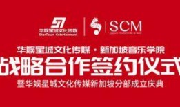 星城公司最新爆料新闻,揭秘重大商业秘密与战略布局调整