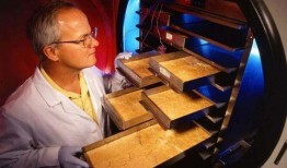 武汉冰葬最新爆料,真相与争议交织