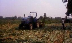 民间土地爆料视频,真实事件背后的土地争议与维权之路