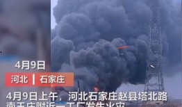 诏安媒体爆料事件视频大全,揭秘背后真相
