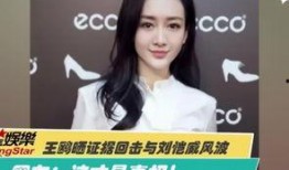 王佳颖爆料视频最新版,事件全貌再引热议