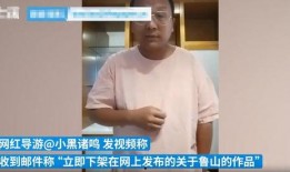 鲁山爆料者被威胁视频最新,勇敢揭露真相背后的惊心动魄
