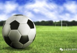 波兰足球爆料视频大全,揭秘精彩瞬间与幕后故事