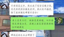 惩治无良房东爆料视频,视频爆料引发社会关注