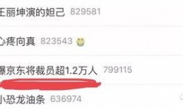 京东员工爆料最新消息数量,揭秘海量消息背后的真相！”