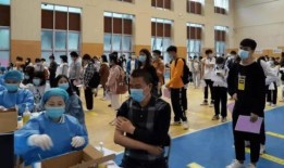 农民老张最新爆料消息,揭秘农村新动向背后的惊人真相！