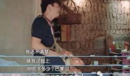 型男老婆爆料视频大全,揭秘型男老婆们的真实生活