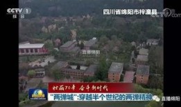 绵阳最新凯厦砍树爆料新闻,真相与争议交织的环保风波