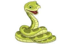 花蛇动漫在线观看,在线观看，畅享视觉盛宴