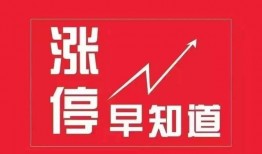 最新爆料早知道,最新爆料早知道，提前洞察行业动态与热点事件