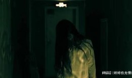 丧尸爆发爆料故事视频大全,揭秘爆料故事视频大全背后的惊悚世界