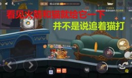 小飞哥被爆料视频大全,揭秘网络红人背后的故事