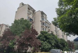 九龙小区爆料视频最新版,惊人真相曝光！