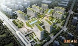 关关爆料中视频官方入口,独家内容一网打尽