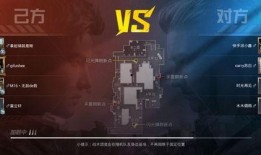 和平精英爆料小视频大全,揭秘游戏新内容与精彩瞬间